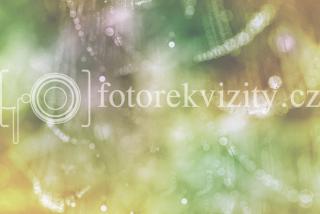 Fotopozadí pro fotografy, Jemný bokeh pavučinka