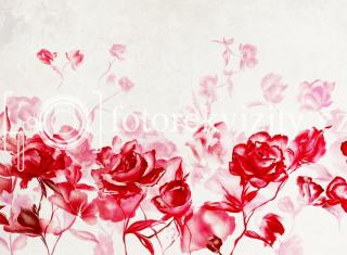 Fotopozadí pro fotografy,Růže s texturou Valentýn