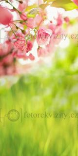 Spojené fotopozadí + fotopodlaha Louka s květy