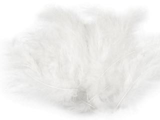 Pštrosí peří délka 9-16 cm Barva: bílá