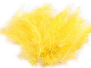 Pštrosí peří délka 9-16 cm Barva: žlutá