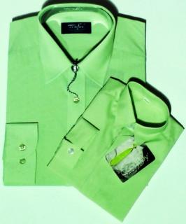 Pánská košile s dlouhým rukávem zelená (pánská společenská košile)