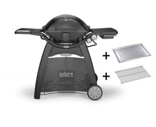 Weber Q 3200 Station