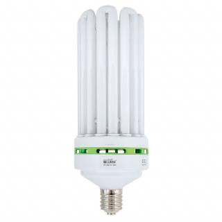 EnviroGro CFL 200w Warm White Lamp - 2700k