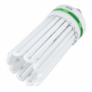 EnviroGro CFL 300w Warm White Lamp - 2700k
