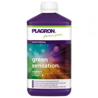 PLAGRON Green Sensation - květový stimulátor Objem: 1 L
