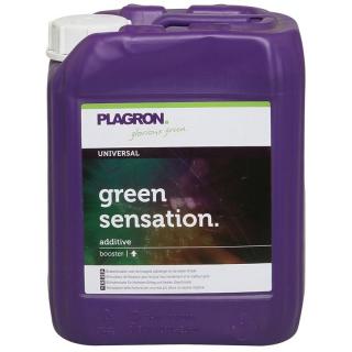 PLAGRON Green Sensation - květový stimulátor Objem: 5 L