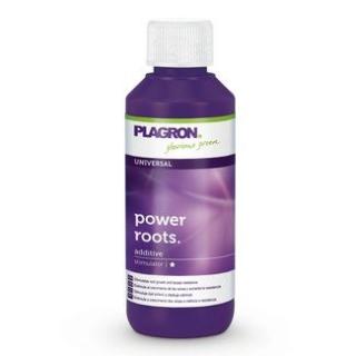 PLAGRON Power Roots - kořenový stimulátor Objem: 100 ml