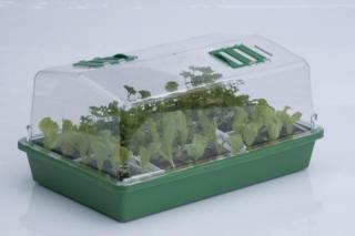 Propagator 43 - pevný mini skleník - 38 x 24 x 18 - malý