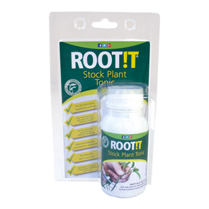 ROOT IT Stock Plant tonic - výživa pro mateční rostliny