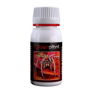 Spider Plant - přírodní insekticid Objem: 15 ml