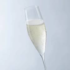 Sklenice na champagne, sekt 270ml ROSSINI Leonardo