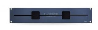 Bluesound Professional A860
