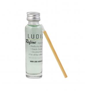 Ludic - Primary Refine Stylus Cleaner (Čisticím prostředkem pro analogové záznamy a hroty přenosek)