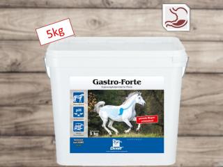 Derby - GASTRO FORTE