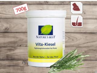 Vita Kiesel