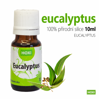 Eukalypt - esenciální olej