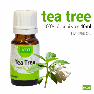 Tea tree - esenciální olej