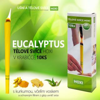 Tělové svíce HOXI s EUCALYPTEM v krabičce 10ks