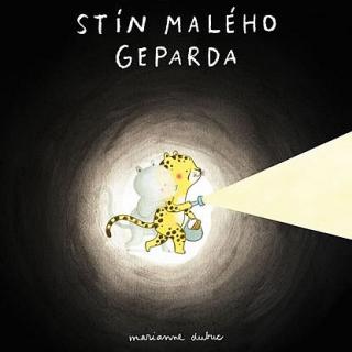 Stín malého geparda