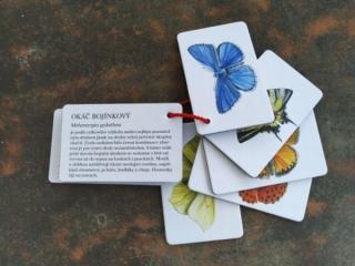 Kapesní atlas Motýli