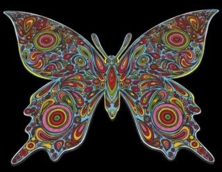 Sametové omalovánky Motýl (21 x 29.7 cm) - s fixami či bez