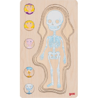 Vícevrstvé puzzle – Lidské tělo holka, 29 dílů (Goki)