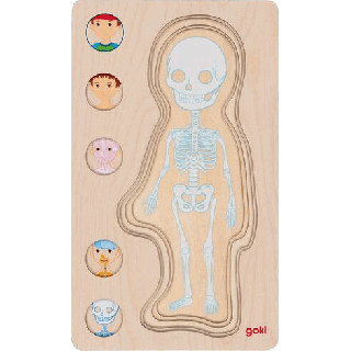Vícevrstvé puzzle – Lidské tělo kluk, 29 dílů (Goki)