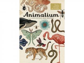 Animalium - Jenny Broom, Katie Scott ilustrátor