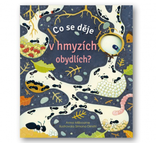 Anna Milbourne | Co se děje v hmyzích obydlích