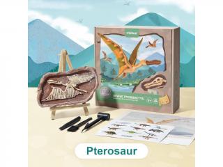 MiDeer | Vykopávání dinosaurů - Pterosaurus