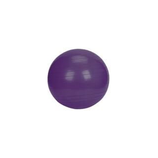 Gymnastický míč PLATINIUM Classic 65 fialový