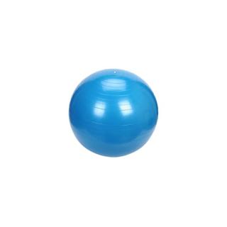 Gymnastický míč PLATINIUM Classic 65 modrý