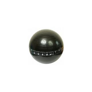 Gymnastický míč Trainer 65 cm černý
