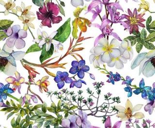 Botanica ve slonové kosti (pevná silná bavlna na polštáře, přehozy, závěsy)