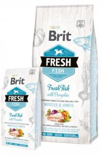 Brit Fresh Fish & Pumpkin - Adult Large Muscles & Joints 12kg