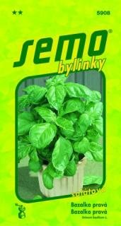 Bazalka pravá 'Lettuce Leaf' 1 g