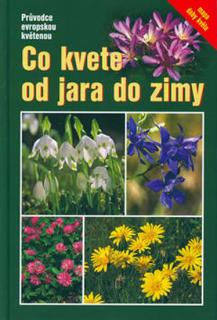 Co kvete od jara do zimy - Dreyer Eva