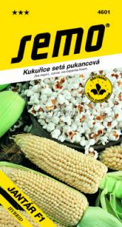 Kukuřice pukancová 'Jantar F1' 6 g