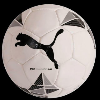 Fotbalový míč Puma Pro Training HS