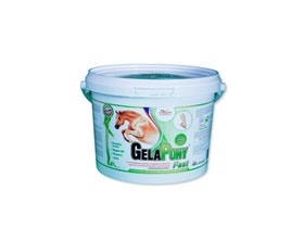 Gelapony Fast 600g