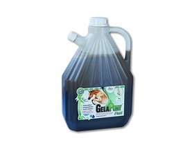 Gelapony Fast biosol 3l