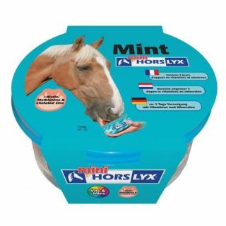 Liz Horslyx Mint 650g