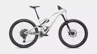 Horské kolo SPECIALIZED Stumpjumper EVO Expert GLOSS BIRCH / TAUPE Velikost: S1