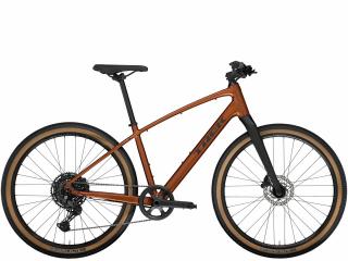 Krosové kolo TREK Dual Sport 3 Gen 5 Pennyflake Velikost: L