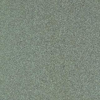 Rako Taurus Granit 80 Oaza TAA34080, dlažba, zelená, matná, hladká, 30 x 30 x 0,8 cm