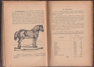 Pojednání o chovu a plemenění koní a podvodech, jakých se užívá při obchodu s koňmi UHERSKÉ HRADIŠTĚ 1886