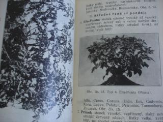 Popis a určování bramborových odrůd - ING. J. ŠIMON PRAHA 1927