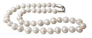 Říční perly náhrdelník bílé velké 0,8-0,9 cm (Obvod 46-48cm)