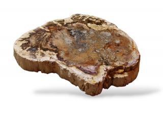 Zkamenělé dřevo plátek váha 0,168kg (vel.9,8x8,8x1,5cm)